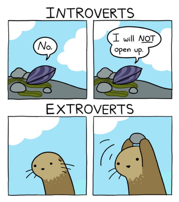 Four-panel comic: top labeled "Introverts" shows a closed mussel saying "No." and "I will NOT open up." Bottom labeled "Extroverts" shows an otter raising a rock above its head.