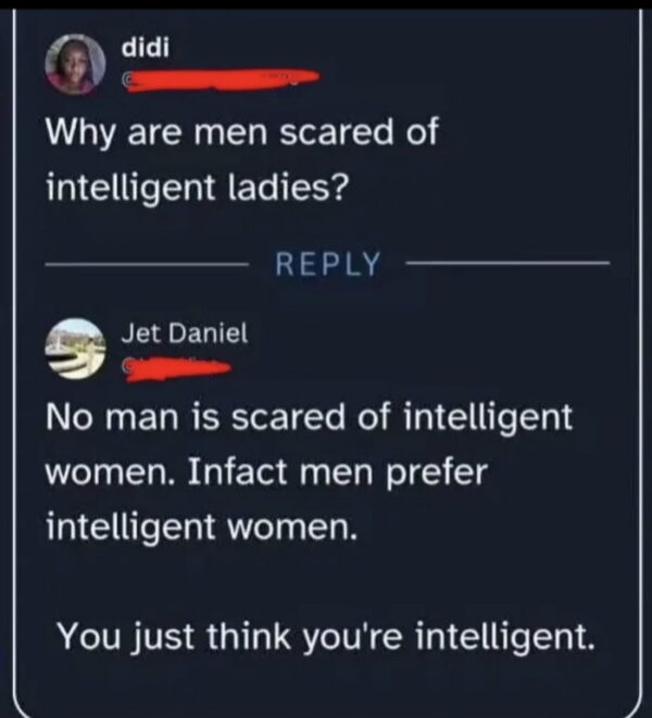 Screenshot of a social media comment thread: user "didi" asks "Why are men scared of intelligent ladies?" and user "Jet Daniel" replies that men prefer intelligent women, adding "You just think you're intelligent."